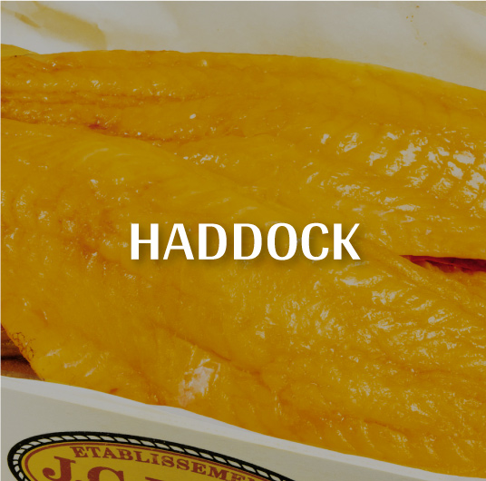 Haddock