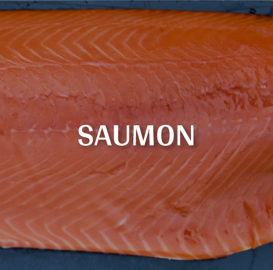 Saumon