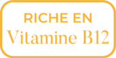 riche-en-vitamine-B12