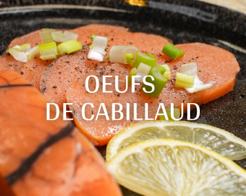 TARAMA TRAITEUR (11)